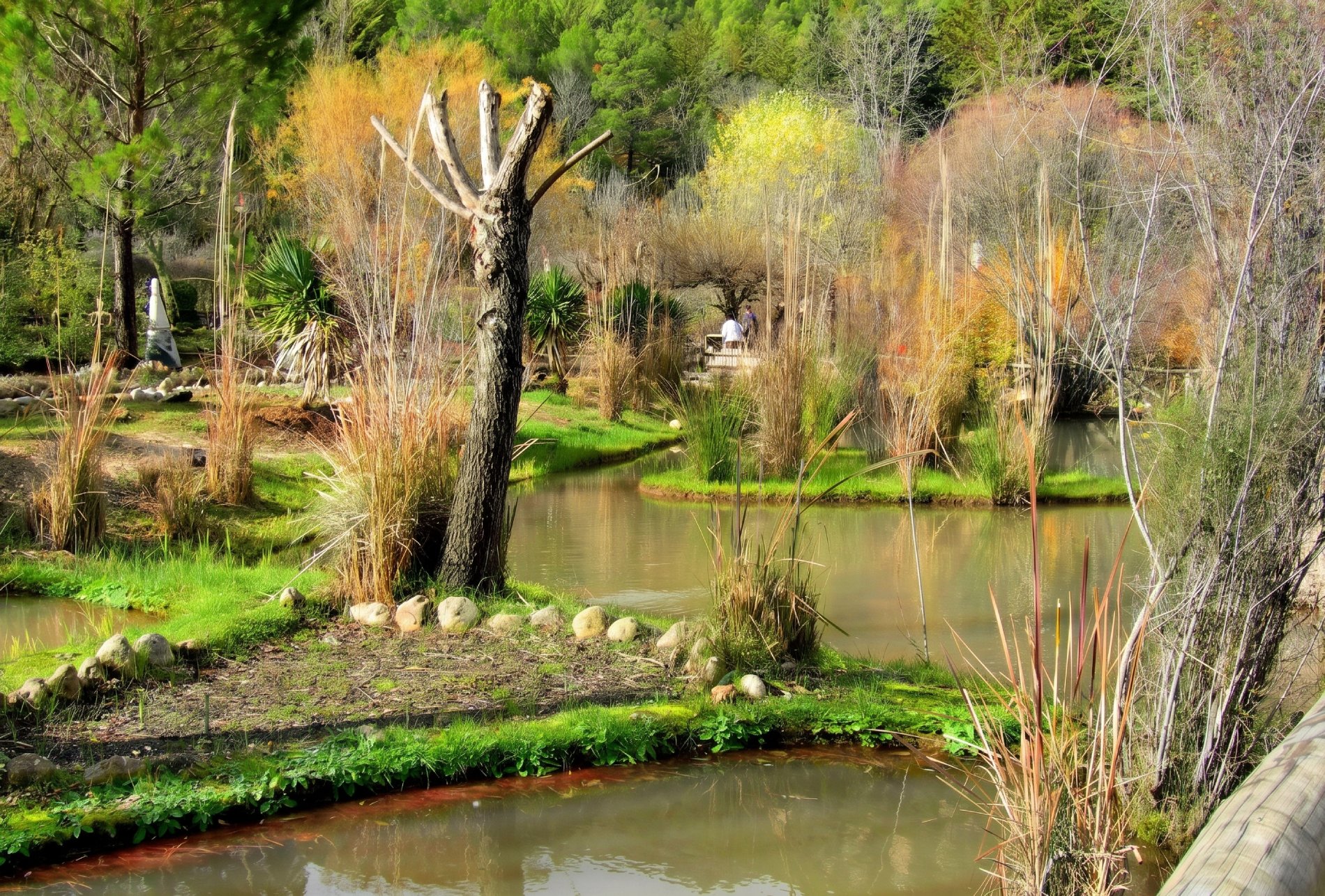 Jardines botánicos