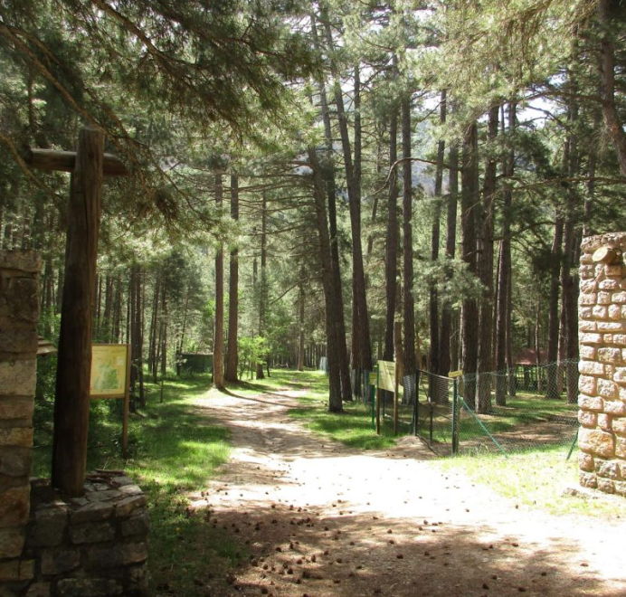 Área de acampada Los Negros