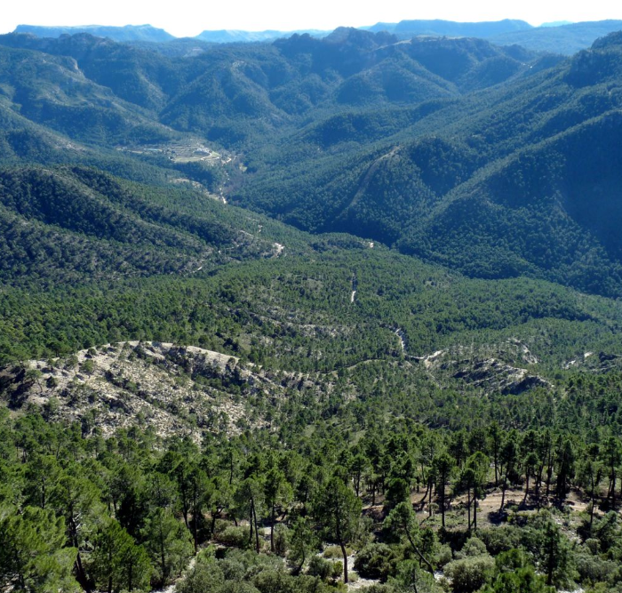 Cerro de San Miguel