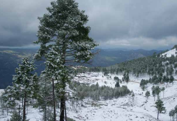 ZAC Fuente de los Cerezos - Refugio Casa Forestal La Parra