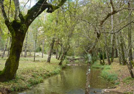 Refugio Casa Forestal La Parra - Refugio Majalserbal