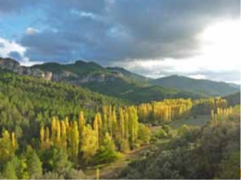 Etapa 20. Prado Maguillo (R.C.F. El Bodegón) – Refugio Era del Fustal