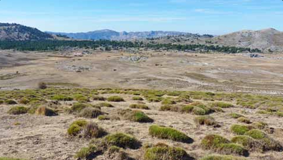 Etapa 16. Refugio Rambla Seca – Refugio Campo del Espino
