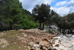 Salega del Haza de Román