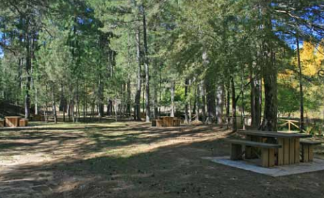 Área recreativa de La Morringa